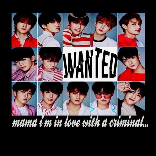 Mama I M In Love With A Criminal Carat ìºëŸ¿ Amino criminal carat ìºëŸ¿ amino