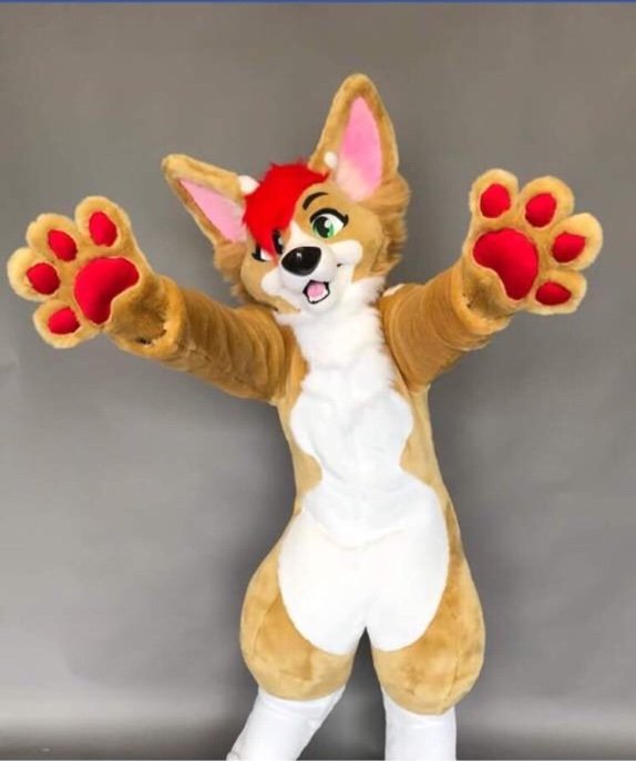 Canadian Makers + More | Wiki | Fursuit Maker Amino Amino