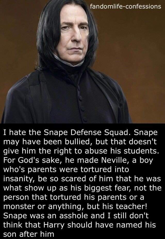 Severus Snape vs James Potter | Harry Potter Amino