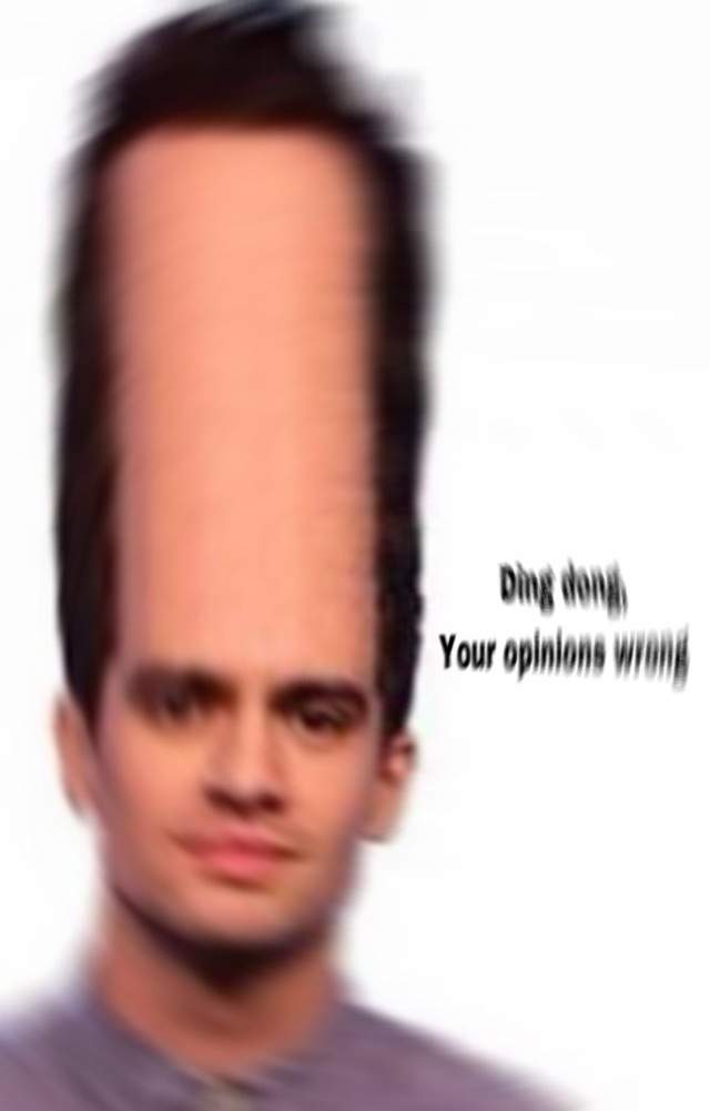 Ding Dong Your Opinions Wrong Panic At The Disco Amino