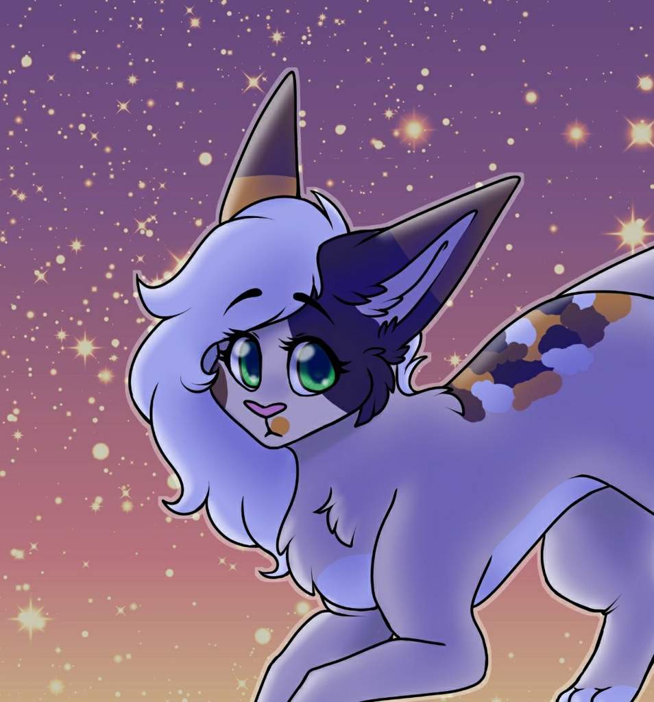 Sunset kitty | Furry Amino