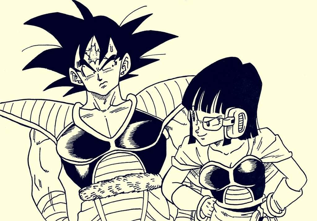 Goku and ChiChi Sayian armor.