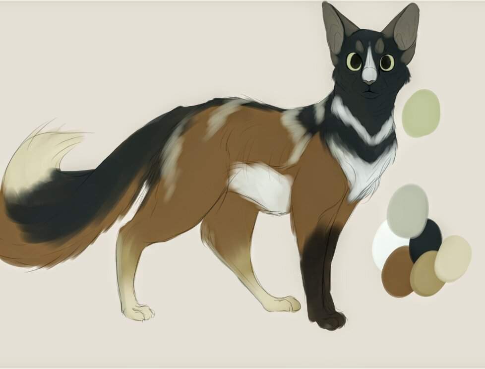 Rowan Re,Design