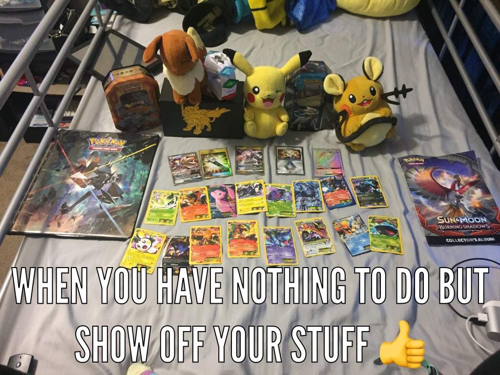 Some Of My Pokemon Things | Pokémon Amino