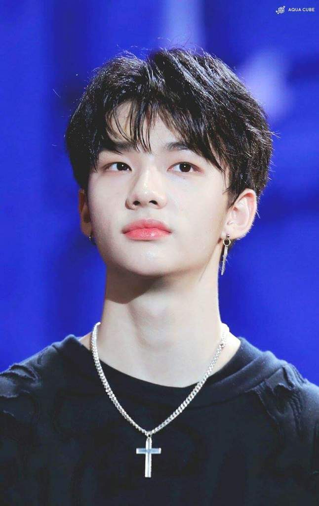 Hyunjin | Wiki | Stray Kids Italia Amino