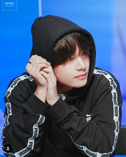 taehyung puma hoodie