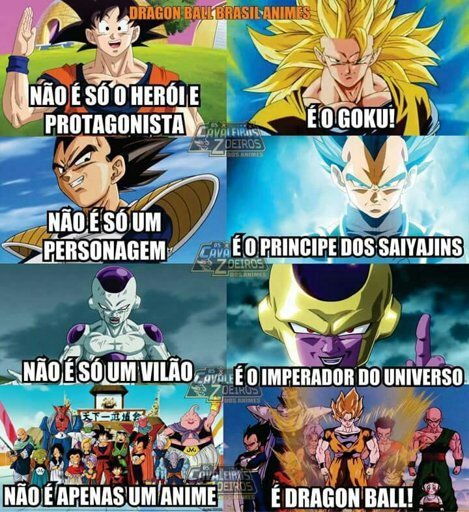 UMA VERDADE | Wiki | Dragon Ball Oficial™ Amino