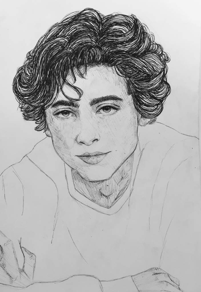 Timothee Chalamet Coloring Book Ideas of Europedias