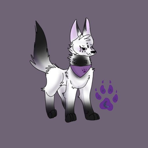 My oc | ~Wolf Pack Amino~ Amino