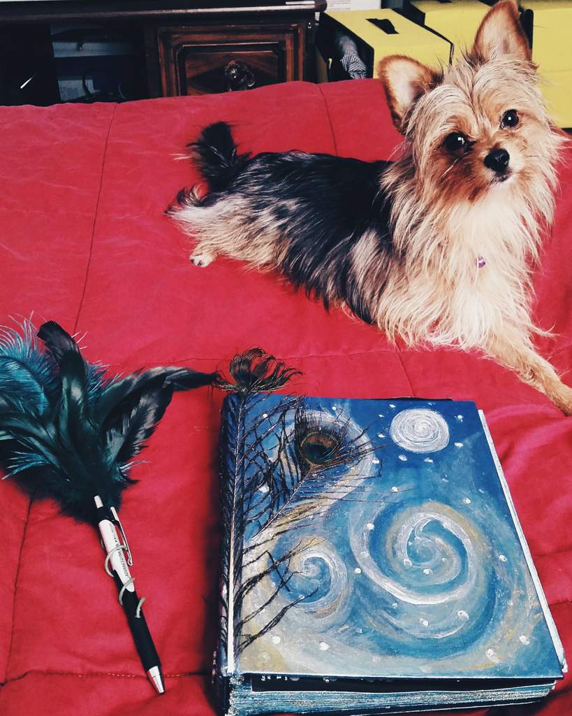 how-to-create-a-book-of-shadows-masterpost-spirituality-amino