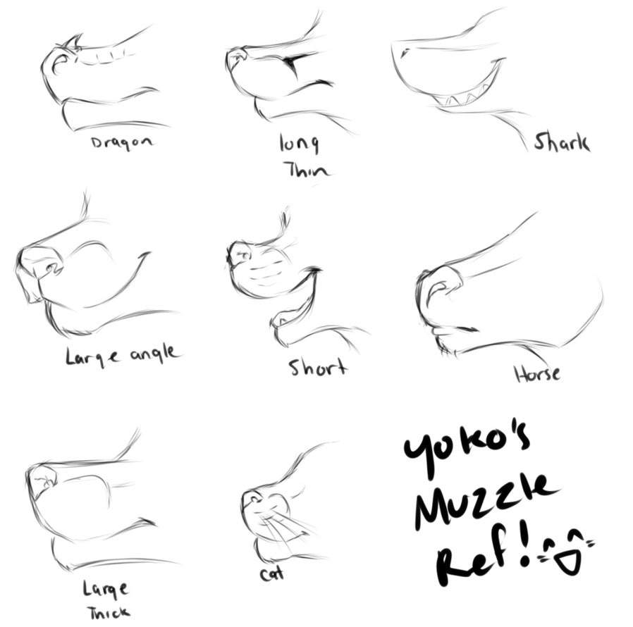 Tips On Making Muzzles More Natural? : R/Furryartschool