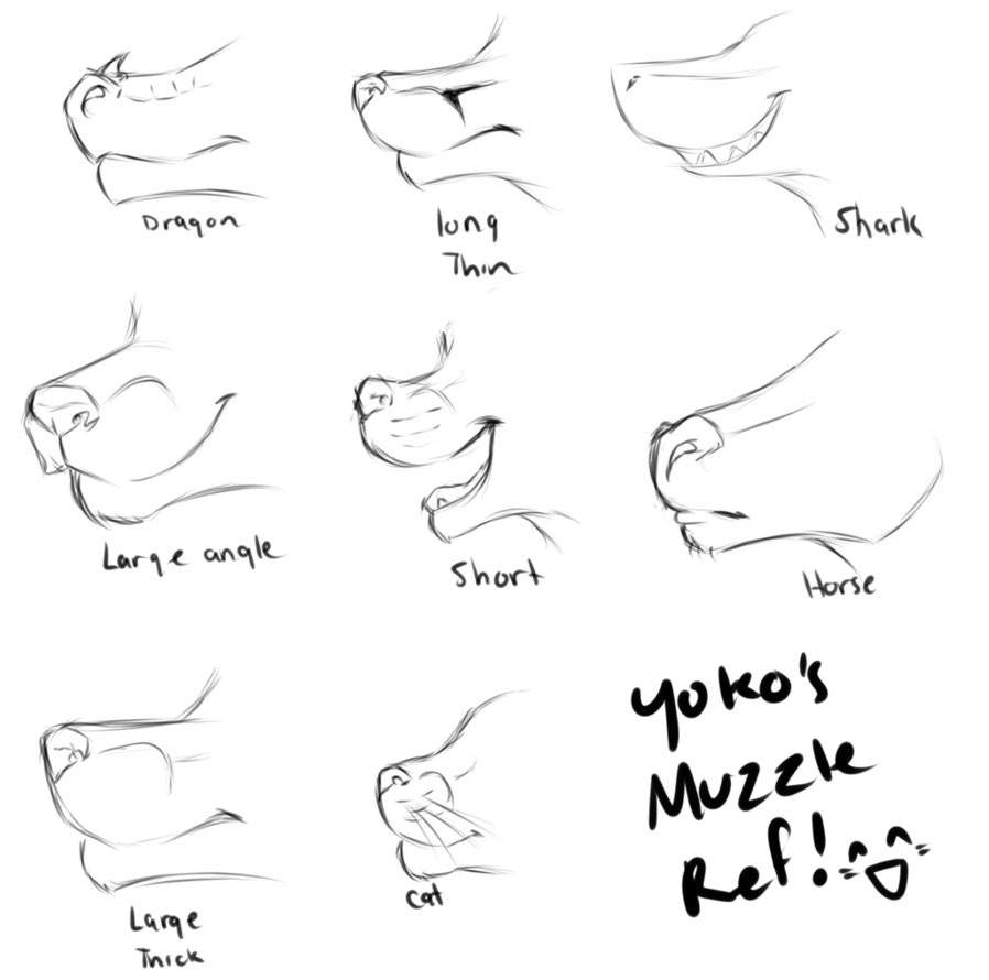 Lesson 5 muzzles Furry Amino