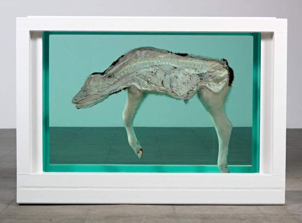 Damien hirst картины