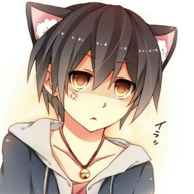 franchi-gatita [demonio]♡[nekita] | COMUNIDAD DE NEKOS Amino