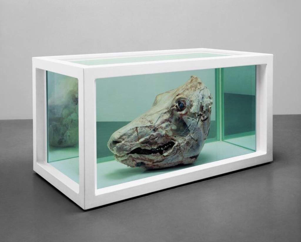 Damien hirst картины