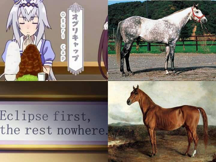 Liking Horse Girls Doesn T Make Me Furry Spoiler Alert