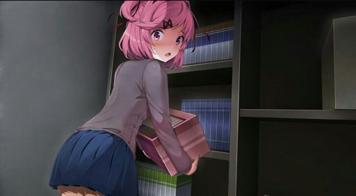 Natsuki Wiki Doki Doki LC PTBR Amino