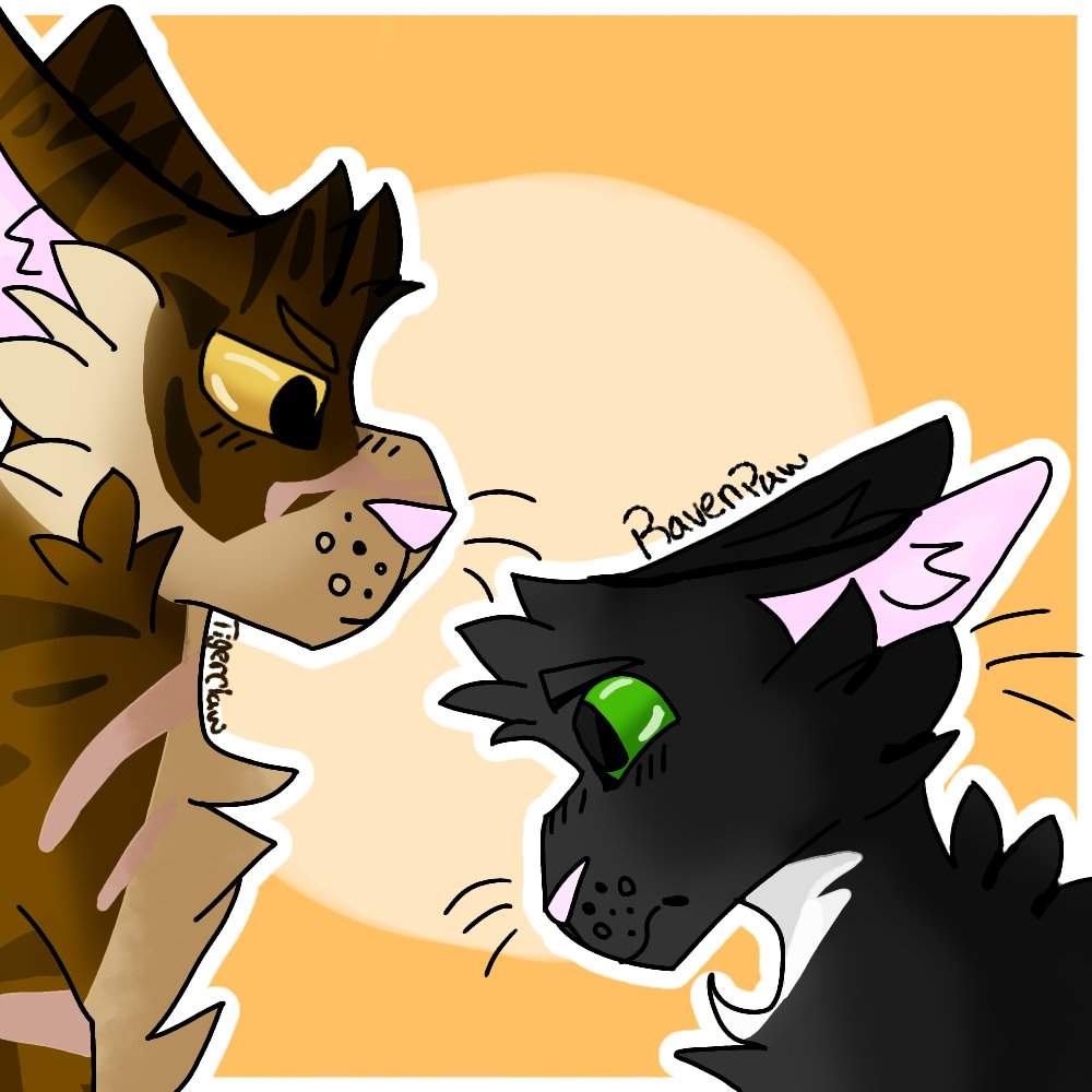 warrior ravenpaw warrior ravenpaw