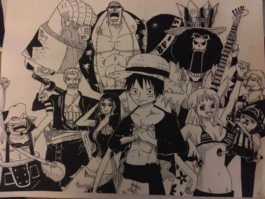 Strawhat Pirates Drawing Straw Hat Pirates Amino