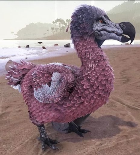 Maxe la Dodo | Wiki | Ark Survival Evolved RP FR Amino