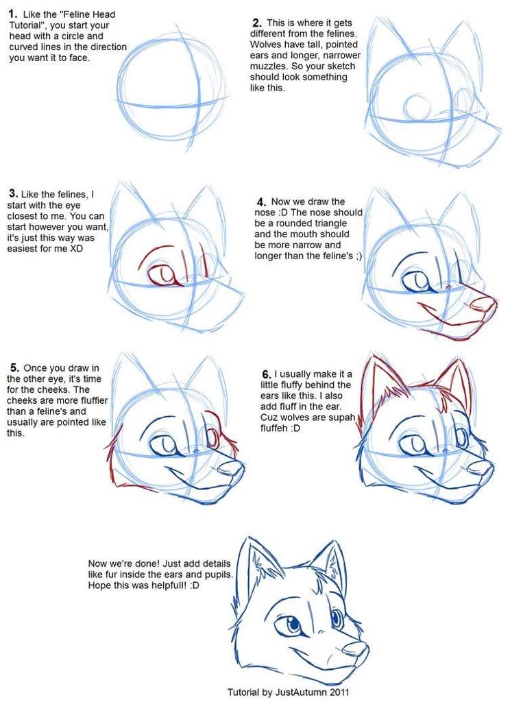 Lesson 7how to draw a muzzle Furry Amino