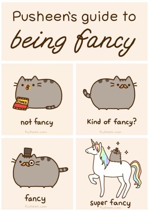 pusheen fancy cat