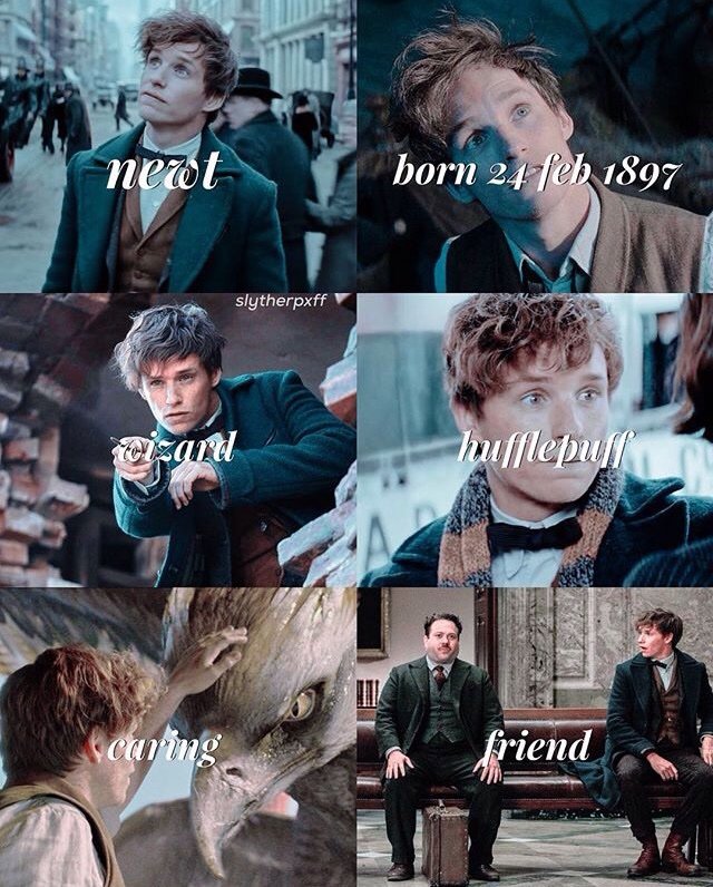 Newt Scamander | Wiki | Harry Potter Amino