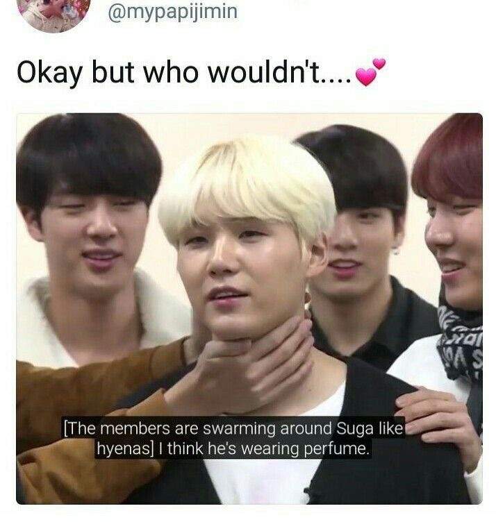 Stolen Yoongi Memes to Cleanse the Soul | ARMY's Amino