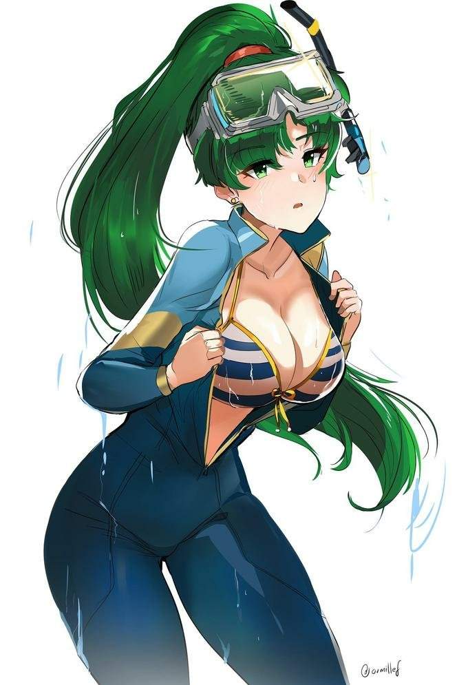 Lyn Character Moveset Smash Amino