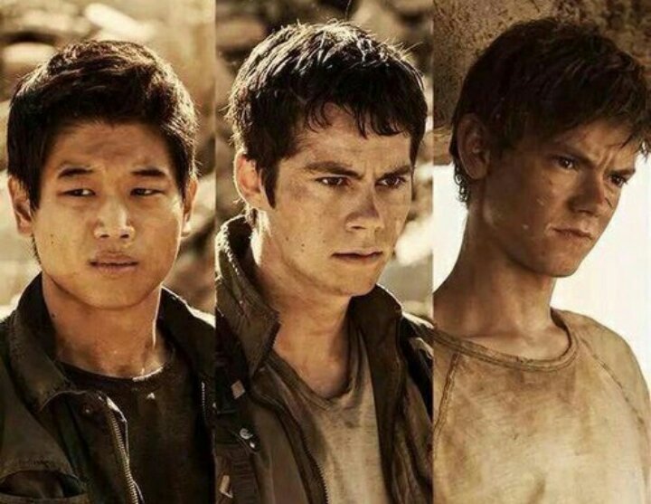 Minho/Thomas/Newt | Wiki | • Le Labyrinthe • Amino