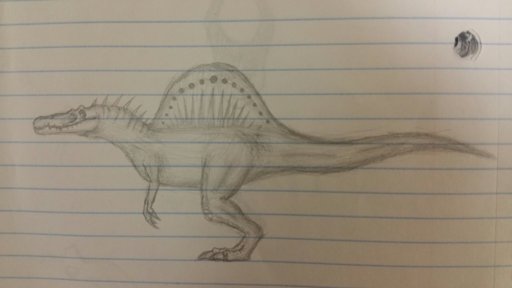 Rexy Drawing Jurassic Park Amino
