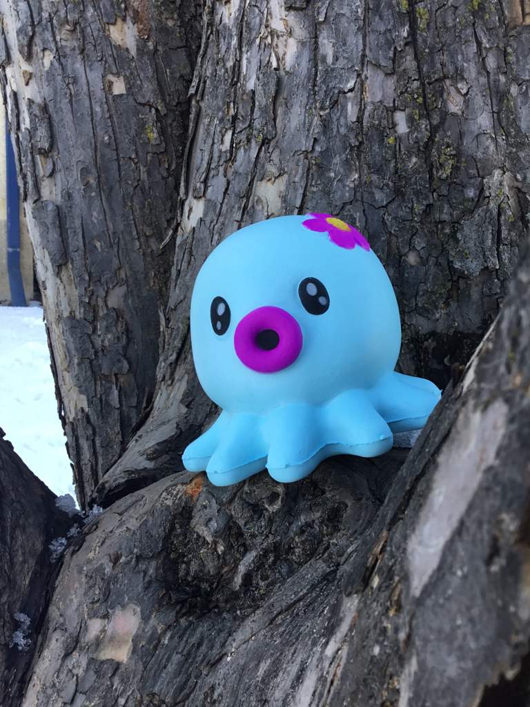 squishy squid toy