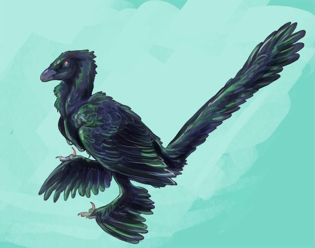 Microraptor Wiki Jurassic World Ru Amino