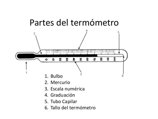 Partes del baumanometro, estetoscopio y el termómetro | Futuros Colegas ...