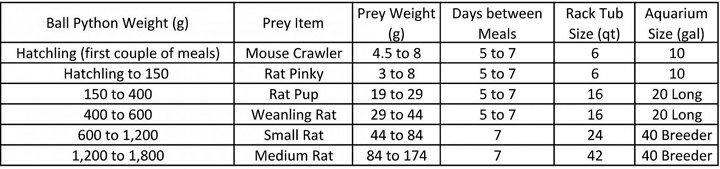 Ball Python Weight Chart