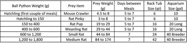 Ball Python Size Chart