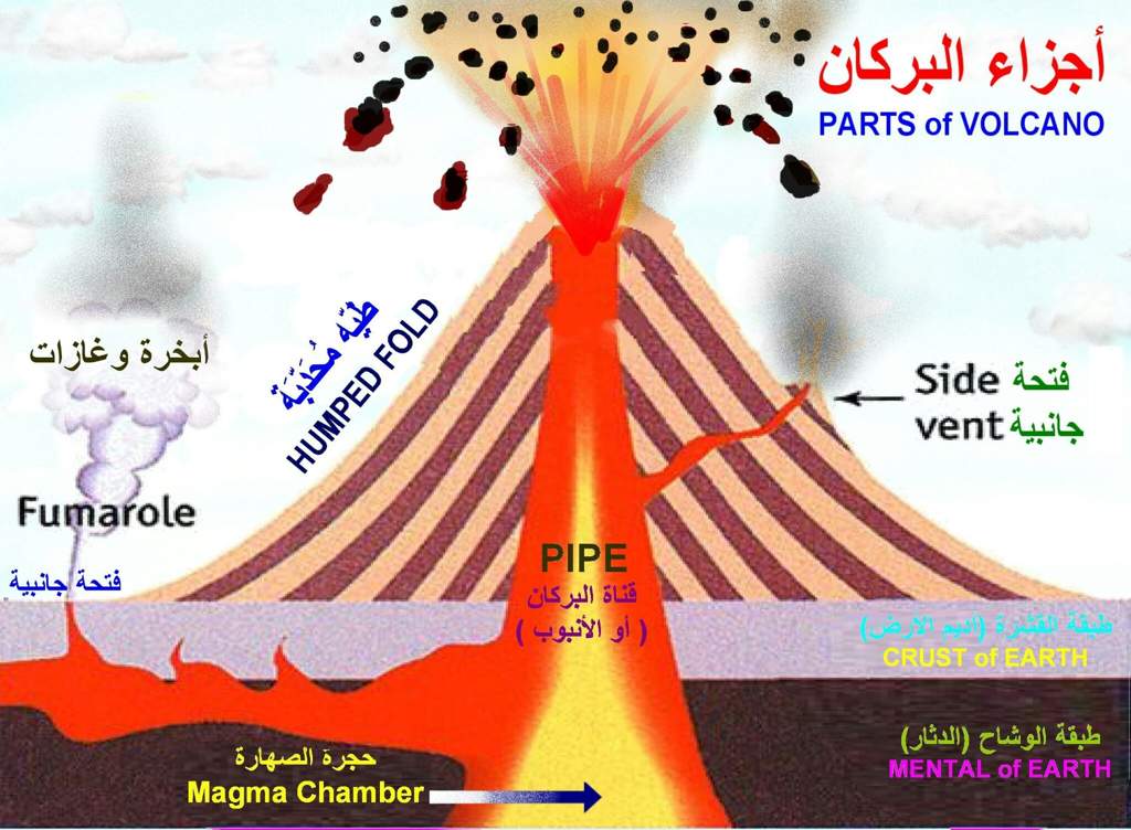 البركان فتحة في القشرة الأرضية تخرج منها الصهارة والغازات والرماد