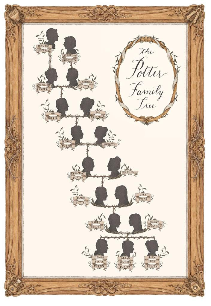 potter-family-tree-by-jessica-roux-harry-potter-amino