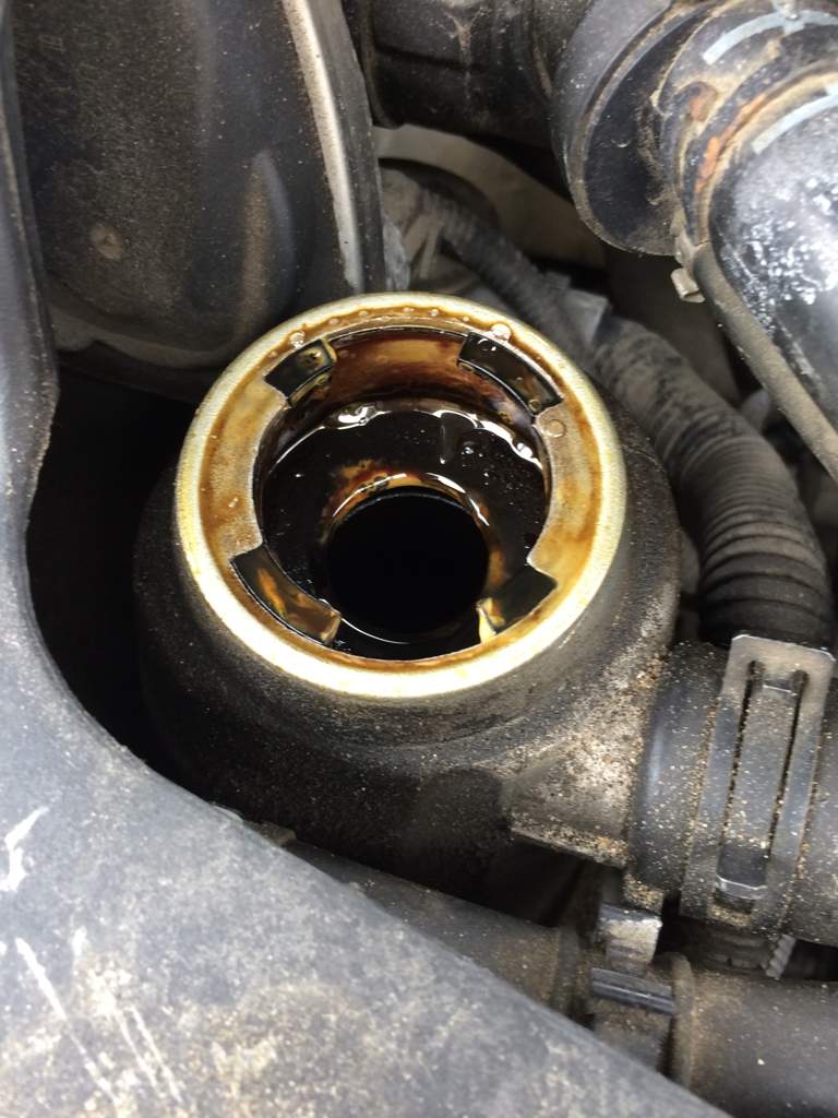 blown head gasket oil