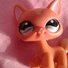 amino-Lovely Kitty LPS-8eb42bd8