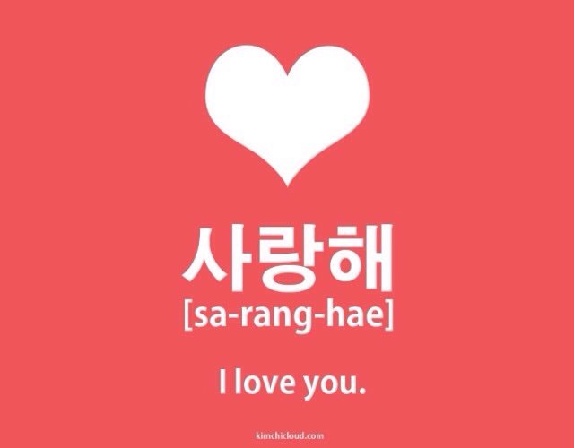 Word Of The Day Saranghaeyo Meaning I Love You Army S Amino