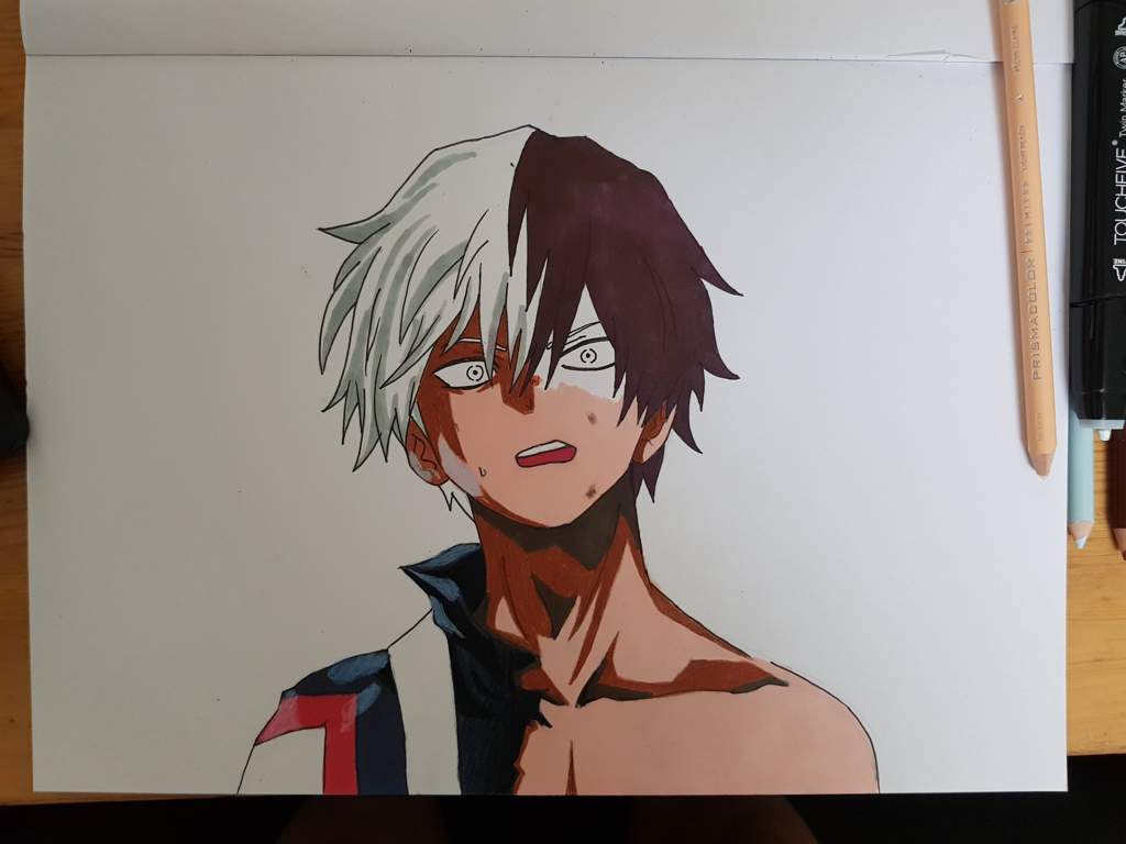 Shoto Todoroki | My Hero Academia Amino