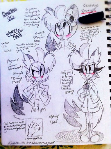 🔷New OCs🔷 | Duck-Tales Amino