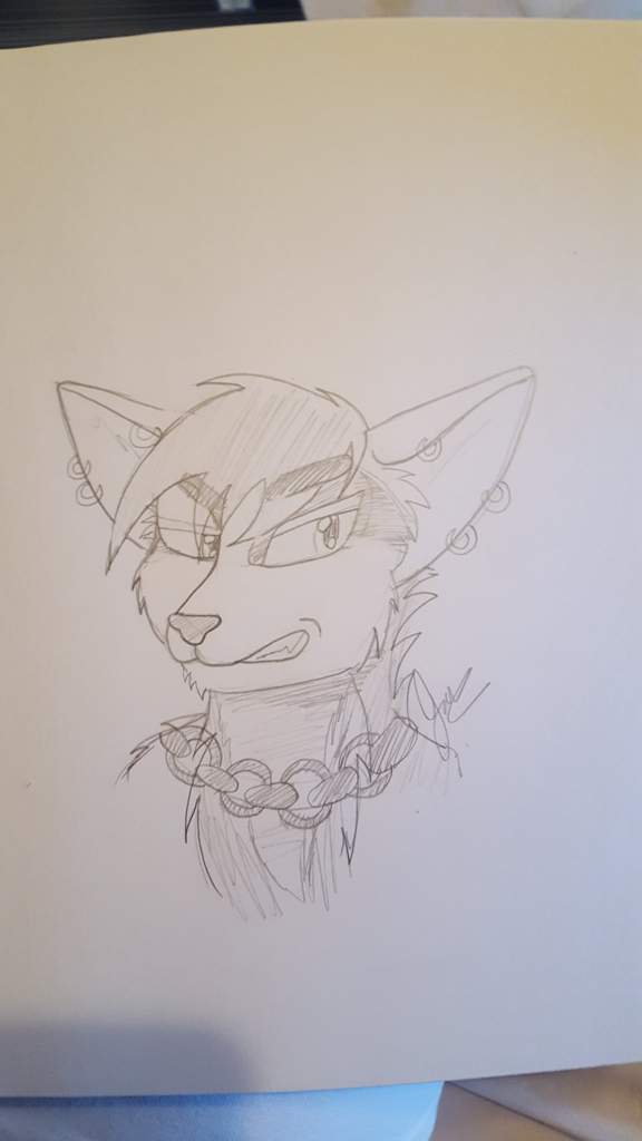 Still Doing Free Sketches On My Live Stream Furry Amino