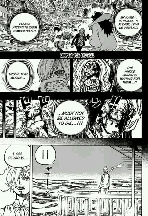 Spoiler Alert One Piece 902 Chapter One Piece Amino