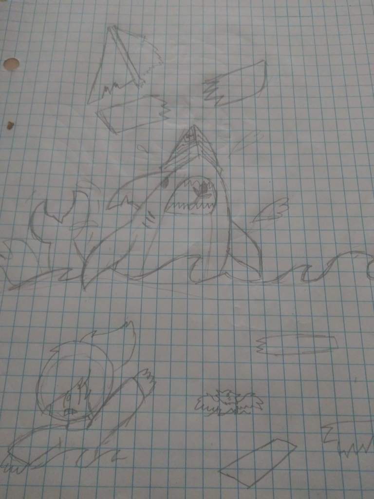 The Shark Whit The Paper Hat Sharkbite Drawing Roblox Amino - roblox shark bite drawing