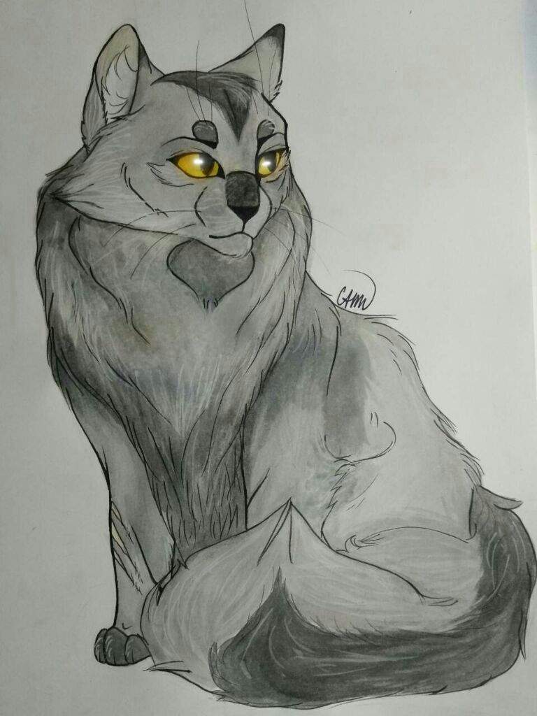 Коты воители рисунки для скетчбука