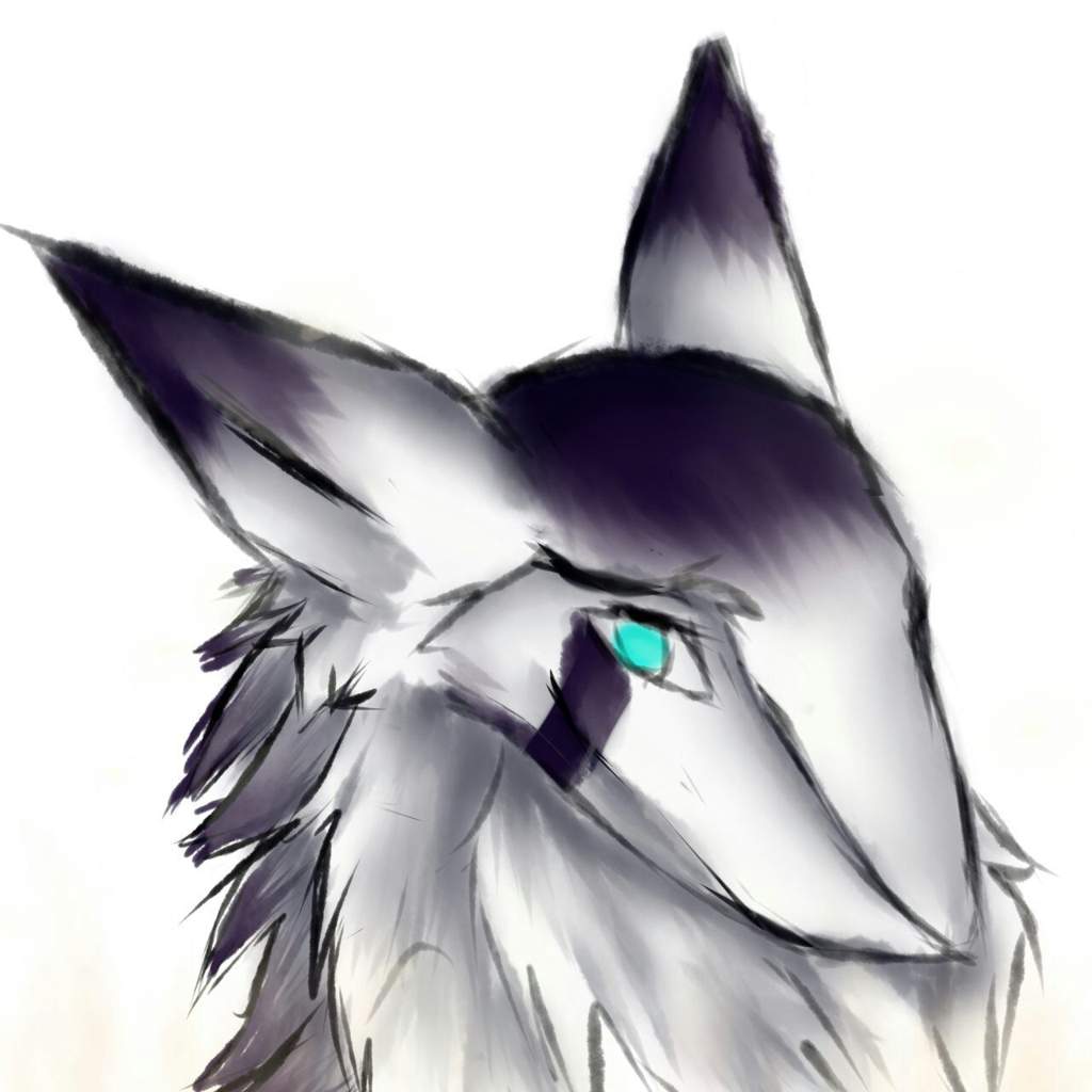 Sergal | Commission | Art Amino