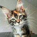 фанфик про леди баг и супер кота раскрытие личностей. 3fd2ad04d4fa936bb9856cd01992775afa1d9adfv2 128. фанфик про леди баг и супер кота раскрытие личностей фото. фанфик про леди баг и супер кота раскрытие личностей-3fd2ad04d4fa936bb9856cd01992775afa1d9adfv2 128. картинка фанфик про леди баг и супер кота раскрытие личностей. картинка 3fd2ad04d4fa936bb9856cd01992775afa1d9adfv2 128. Дорогие читатели Ледиблога! Прошу вас оценить новый фанфик!