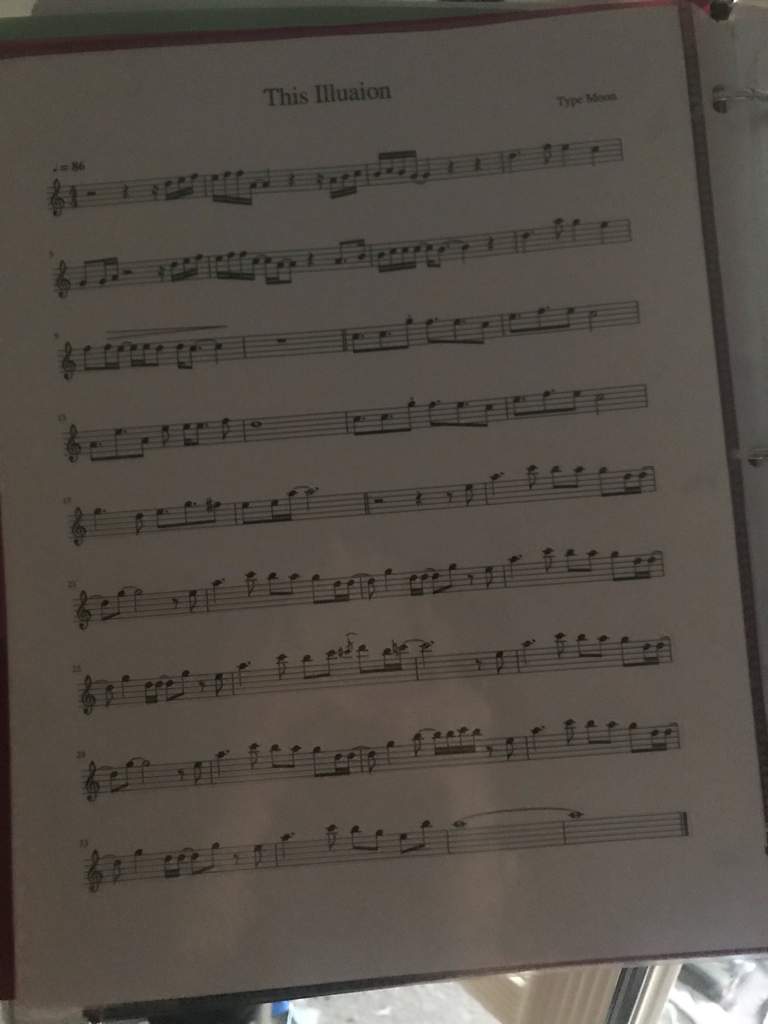 Do You Guys Want To See Me Playing This Illusion On My Viola As Illya Fate Stay Night Amino